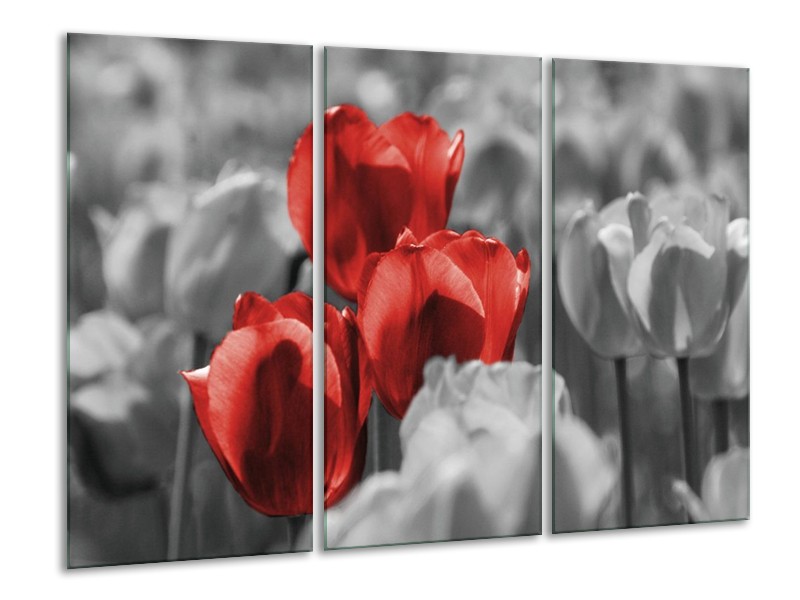 Canvas schilderij Tulpen | Rood, Grijs, Zwart | 120x80cm 3Luik