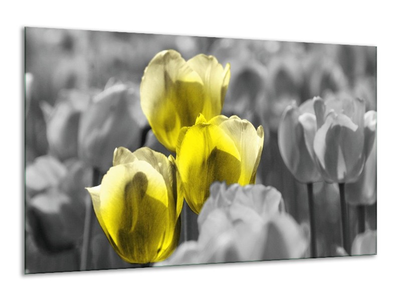 Canvas schilderij Tulpen | Geel, Grijs | 120x70cm 1Luik