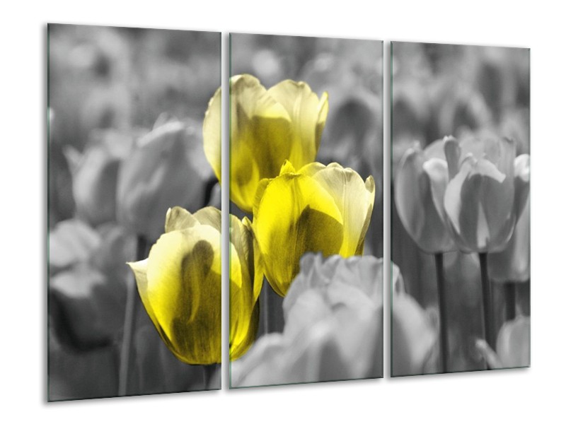 Canvas schilderij Tulpen | Geel, Grijs | 120x80cm 3Luik