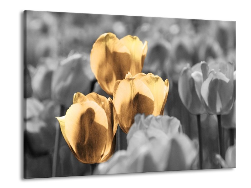 Canvas schilderij Tulpen | Goud, Wit, Grijs | 100x70cm 1Luik