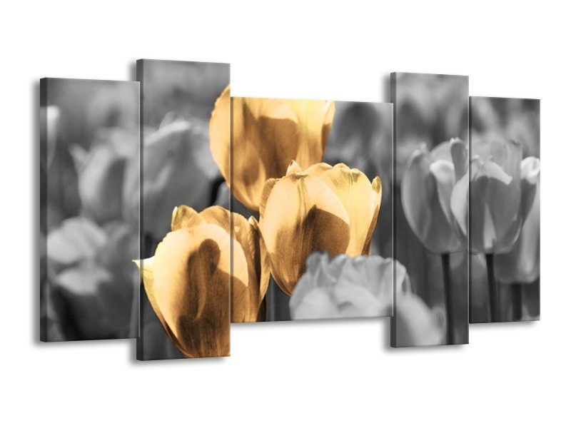 Canvas schilderij Tulpen | Goud, Wit, Grijs | 120x65 5Luik