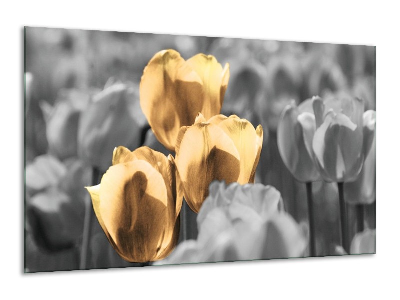 Canvas schilderij Tulpen | Goud, Wit, Grijs | 120x70cm 1Luik