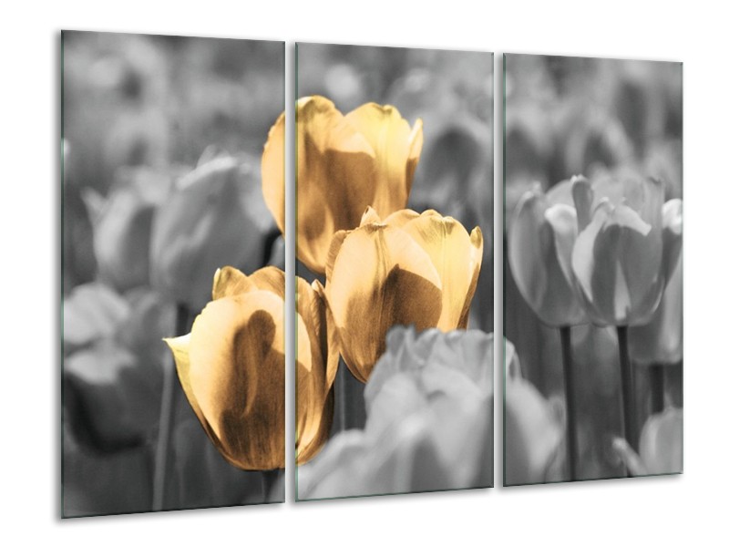 Canvas schilderij Tulpen | Goud, Wit, Grijs | 120x80cm 3Luik