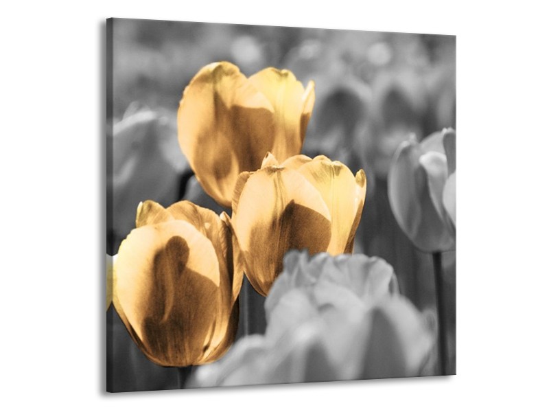 Canvas schilderij Tulpen | Goud, Wit, Grijs | 50x50cm 1Luik