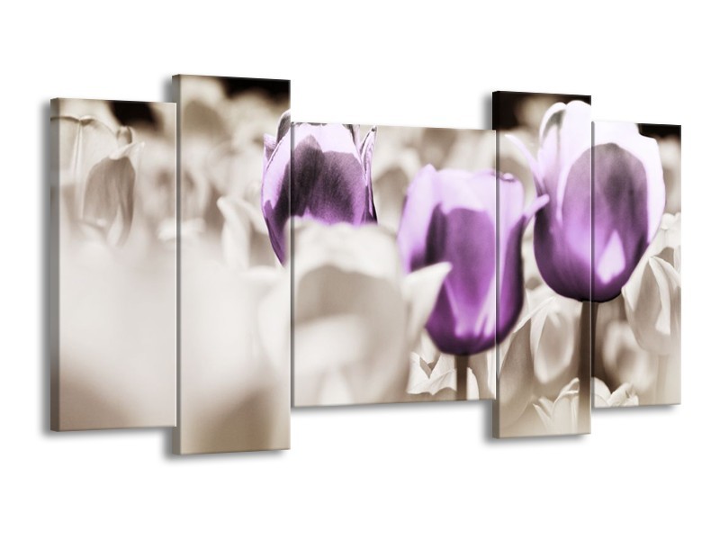 Canvas schilderij Tulpen | Paars, Grijs, Wit | 120x65 5Luik