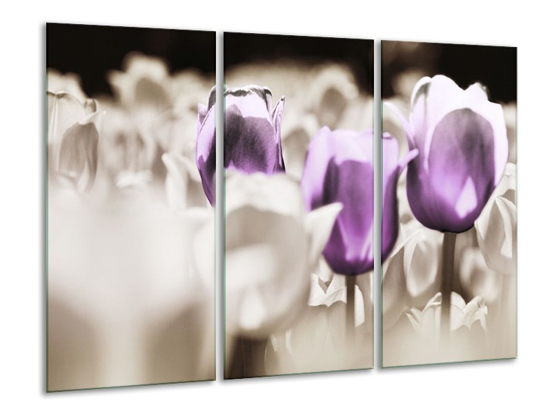 Canvas schilderij Tulpen | Paars, Grijs, Wit | 120x80cm 3Luik