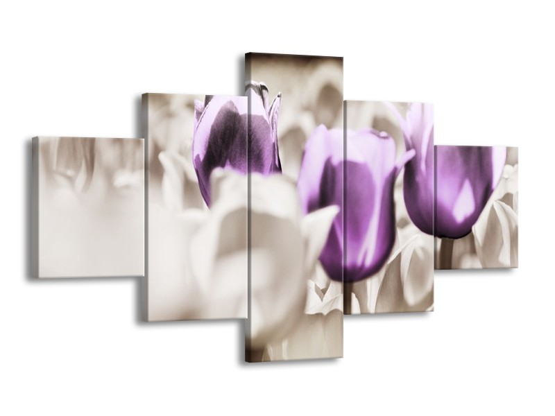 Canvas schilderij Tulpen | Paars, Grijs, Wit | 125x70cm 5Luik