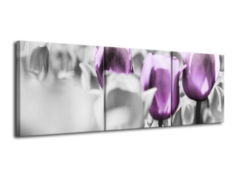 Glas schilderij Tulpen | Paars, Grijs, Wit | 120x40cm 3Luik