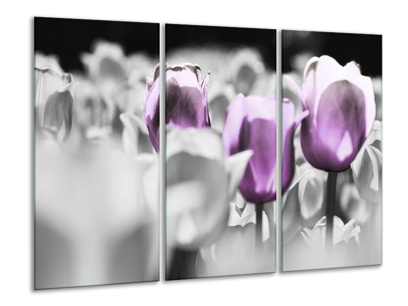 Canvas schilderij Tulpen | Paars, Grijs, Wit | 120x80cm 3Luik
