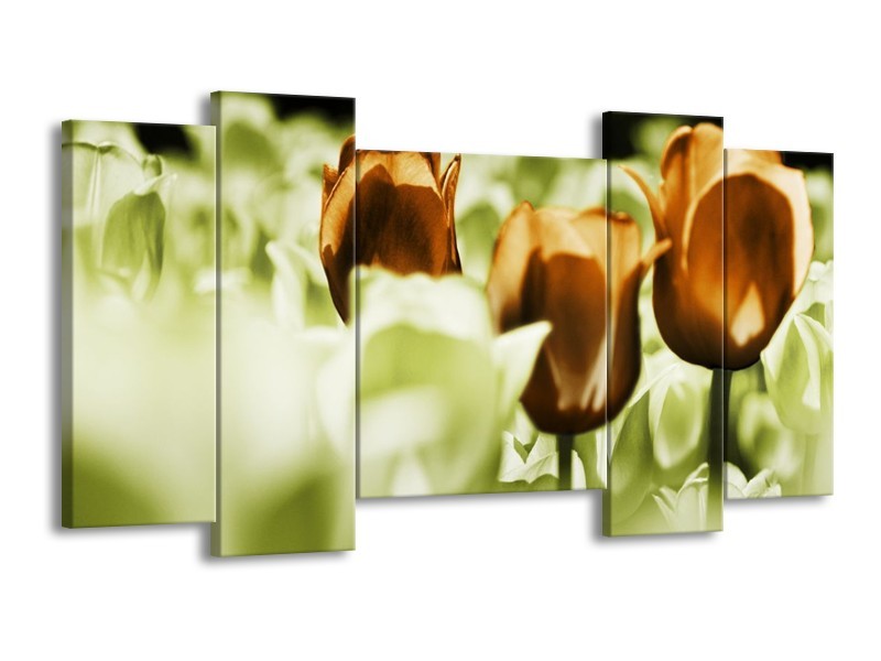 Canvas schilderij Tulpen | Bruin, Groen, Wit | 120x65 5Luik