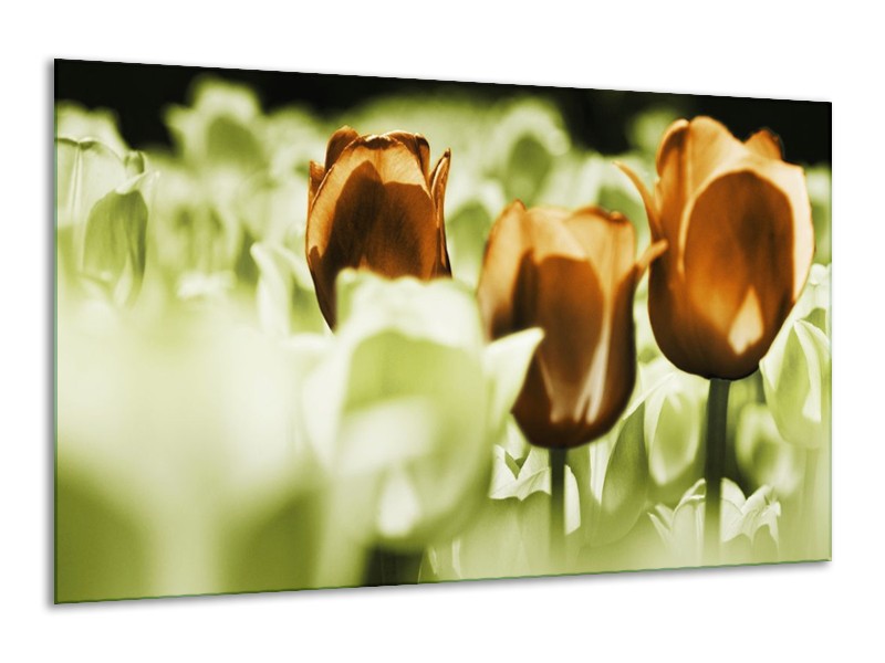 Canvas schilderij Tulpen | Bruin, Groen, Wit | 120x70cm 1Luik