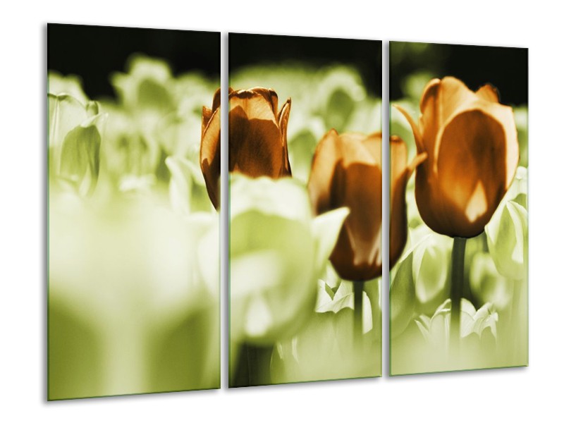 Canvas schilderij Tulpen | Bruin, Groen, Wit | 120x80cm 3Luik
