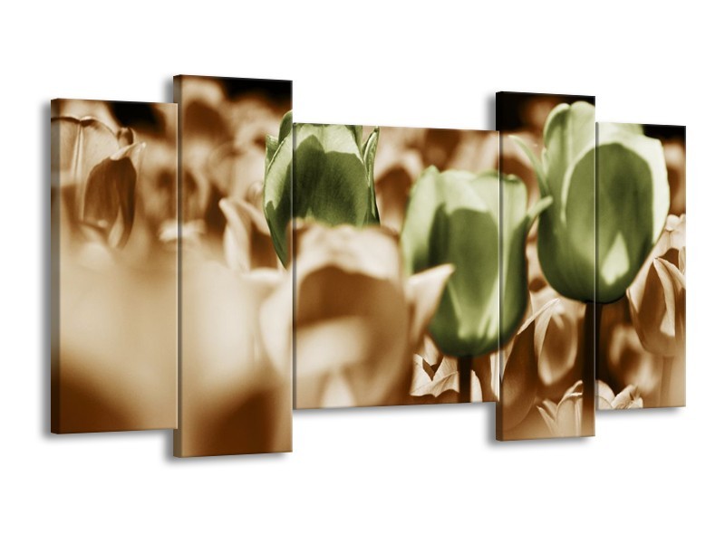 Canvas schilderij Tulpen | Bruin, Groen, Wit | 120x65 5Luik