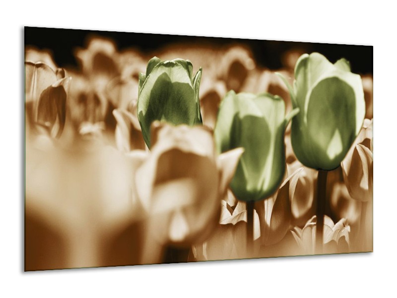Canvas schilderij Tulpen | Bruin, Groen, Wit | 120x70cm 1Luik
