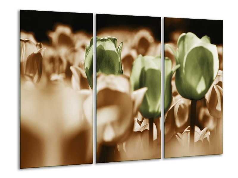 Canvas schilderij Tulpen | Bruin, Groen, Wit | 120x80cm 3Luik