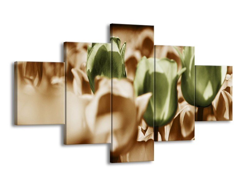 Canvas schilderij Tulpen | Bruin, Groen, Wit | 125x70cm 5Luik