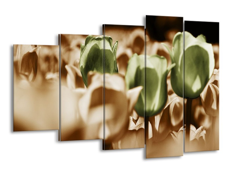 Canvas schilderij Tulpen | Bruin, Groen, Wit | 150x100cm 5Luik