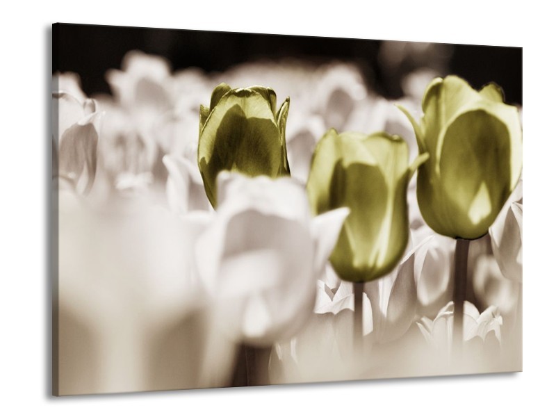 Canvas schilderij Tulpen | Bruin, Groen, Wit | 100x70cm 1Luik