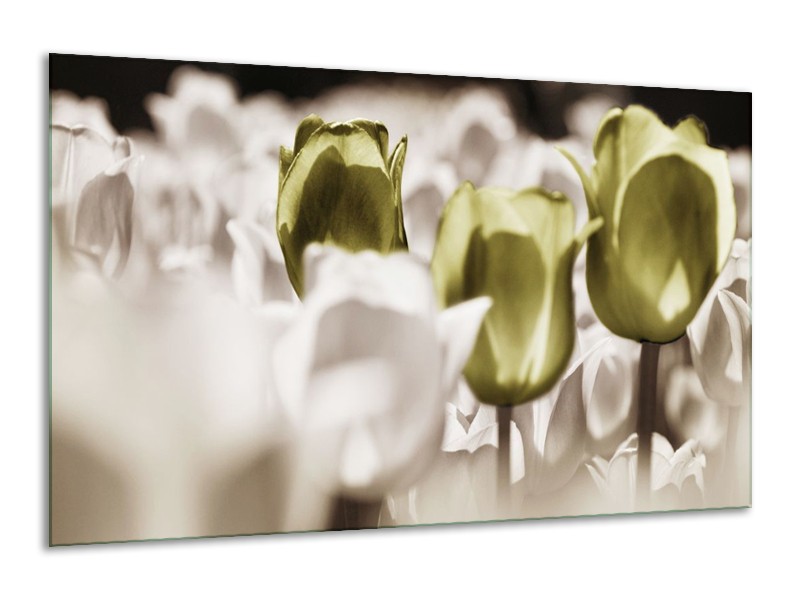 Canvas schilderij Tulpen | Bruin, Groen, Wit | 120x70cm 1Luik
