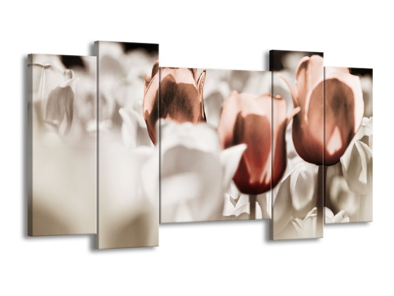 Canvas schilderij Tulpen | Bruin, Grijs, Wit | 120x65 5Luik