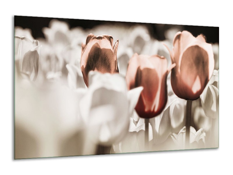 Canvas schilderij Tulpen | Bruin, Grijs, Wit | 120x70cm 1Luik