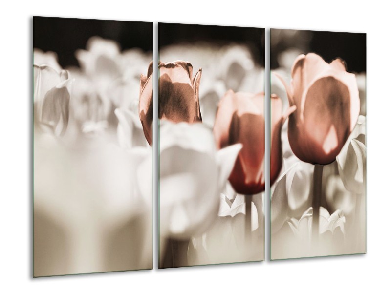 Canvas schilderij Tulpen | Bruin, Grijs, Wit | 120x80cm 3Luik