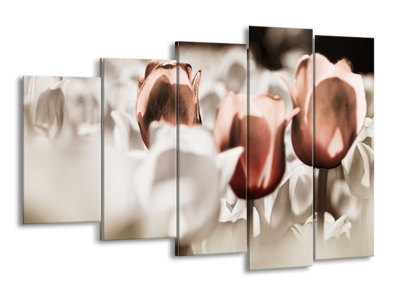 Canvas schilderij Tulpen | Bruin, Grijs, Wit | 150x100cm 5Luik