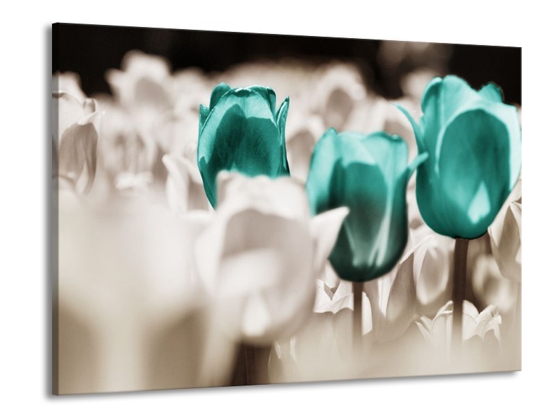 Canvas schilderij Tulpen | Blauw, Grijs, Wit | 100x70cm 1Luik