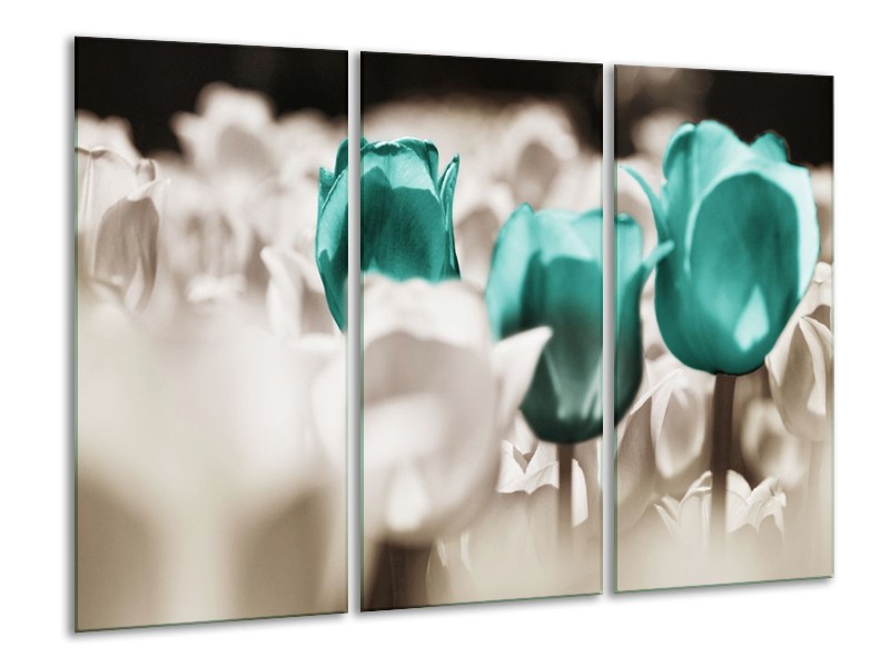 Canvas schilderij Tulpen | Blauw, Grijs, Wit | 120x80cm 3Luik