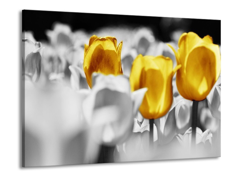 Canvas schilderij Tulpen | Geel, Grijs, Wit | 100x70cm 1Luik
