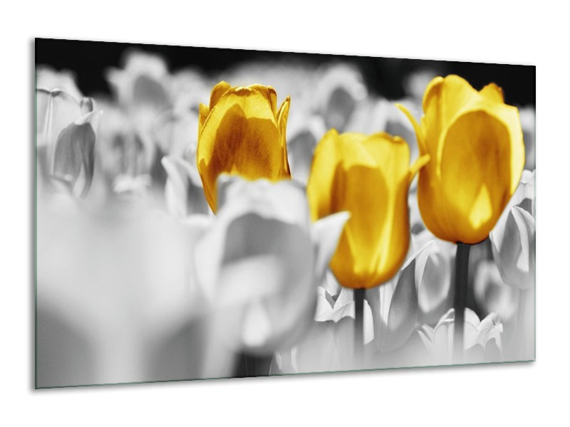 Canvas schilderij Tulpen | Geel, Grijs, Wit | 120x70cm 1Luik