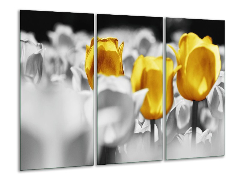 Canvas schilderij Tulpen | Geel, Grijs, Wit | 120x80cm 3Luik