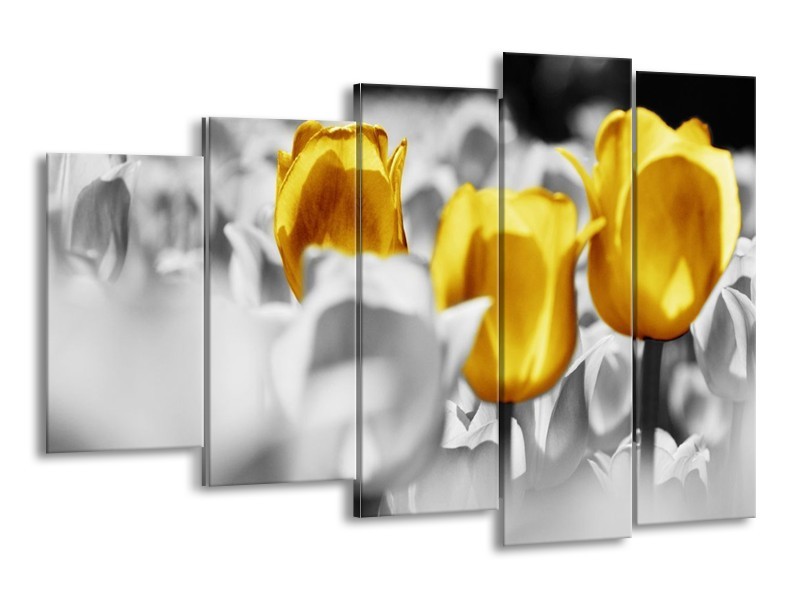Canvas schilderij Tulpen | Geel, Grijs, Wit | 150x100cm 5Luik
