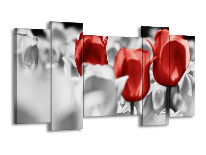 Canvas schilderij Tulpen | Rood, Grijs, Wit | 120x65 5Luik