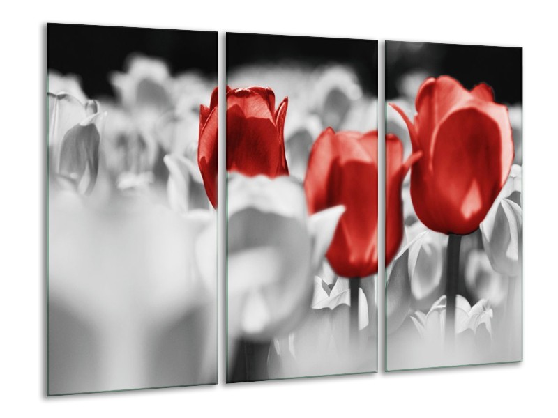 Canvas schilderij Tulpen | Rood, Grijs, Wit | 120x80cm 3Luik