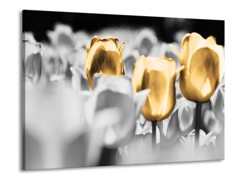 Canvas schilderij Tulpen | Goud, Grijs, Wit | 100x70cm 1Luik