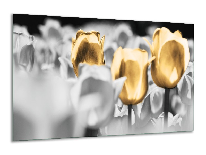 Canvas schilderij Tulpen | Goud, Grijs, Wit | 120x70cm 1Luik