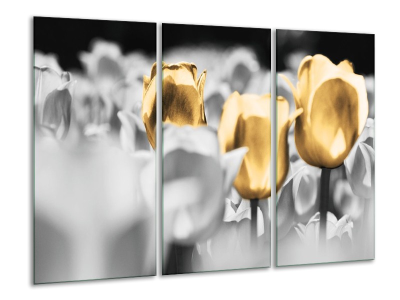 Canvas schilderij Tulpen | Goud, Grijs, Wit | 120x80cm 3Luik