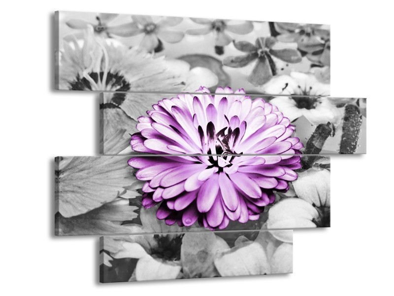Canvas schilderij Gerbera | Paars, Grijs | 115x85cm 4Luik