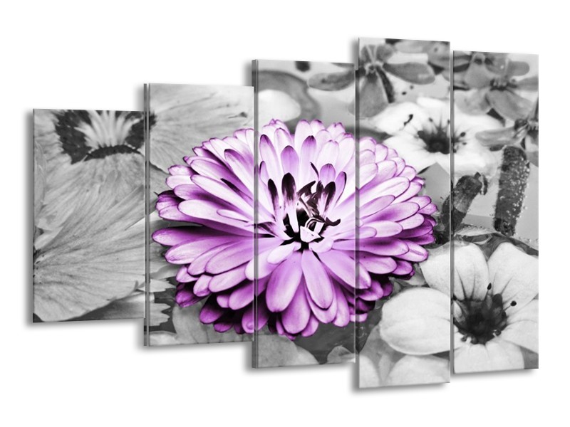 Canvas schilderij Gerbera | Paars, Grijs | 150x100cm 5Luik