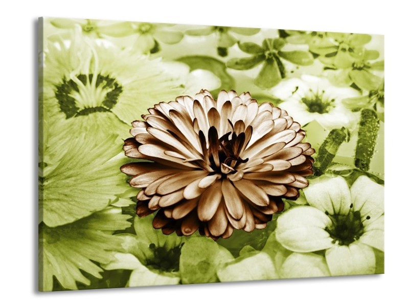 Canvas schilderij Bloem | Groen, Bruin | 100x70cm 1Luik
