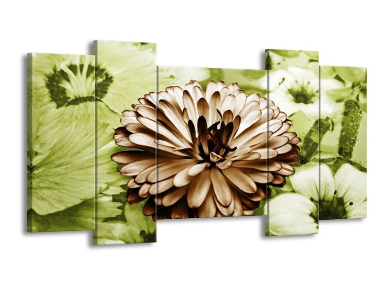 Canvas schilderij Bloem | Groen, Bruin | 120x65 5Luik