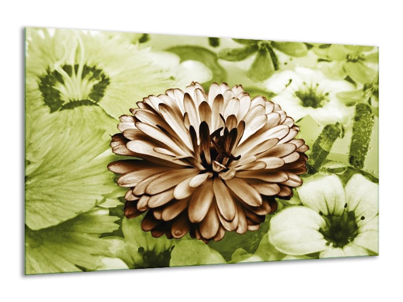 Canvas schilderij Bloem | Groen, Bruin | 120x70cm 1Luik