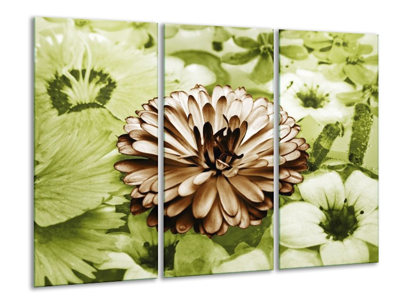 Canvas schilderij Bloem | Groen, Bruin | 120x80cm 3Luik