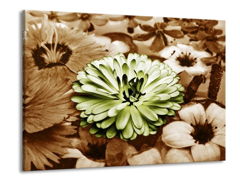 Canvas schilderij Bloem | Groen, Bruin | 100x70cm 1Luik