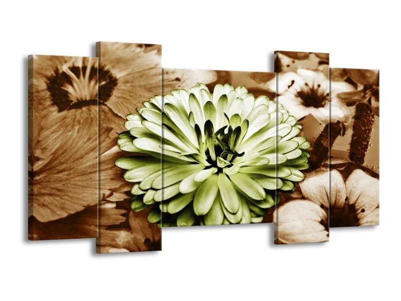 Canvas schilderij Bloem | Groen, Bruin | 120x65 5Luik