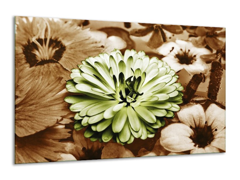 Canvas schilderij Bloem | Groen, Bruin | 120x70cm 1Luik