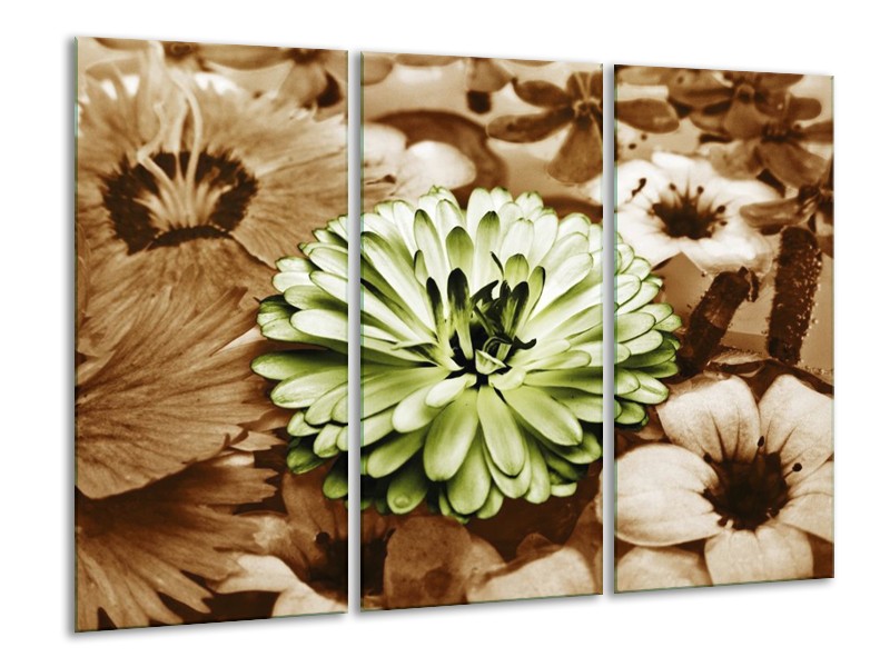 Canvas schilderij Bloem | Groen, Bruin | 120x80cm 3Luik