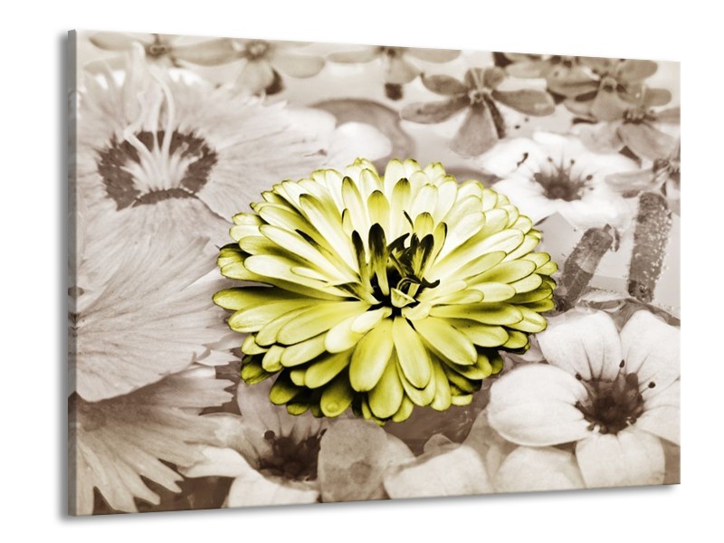 Canvas schilderij Gerbera | Groen, Sepia | 100x70cm 1Luik