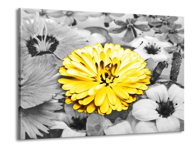 Canvas schilderij Gerbera | Geel, Zwart | 100x70cm 1Luik
